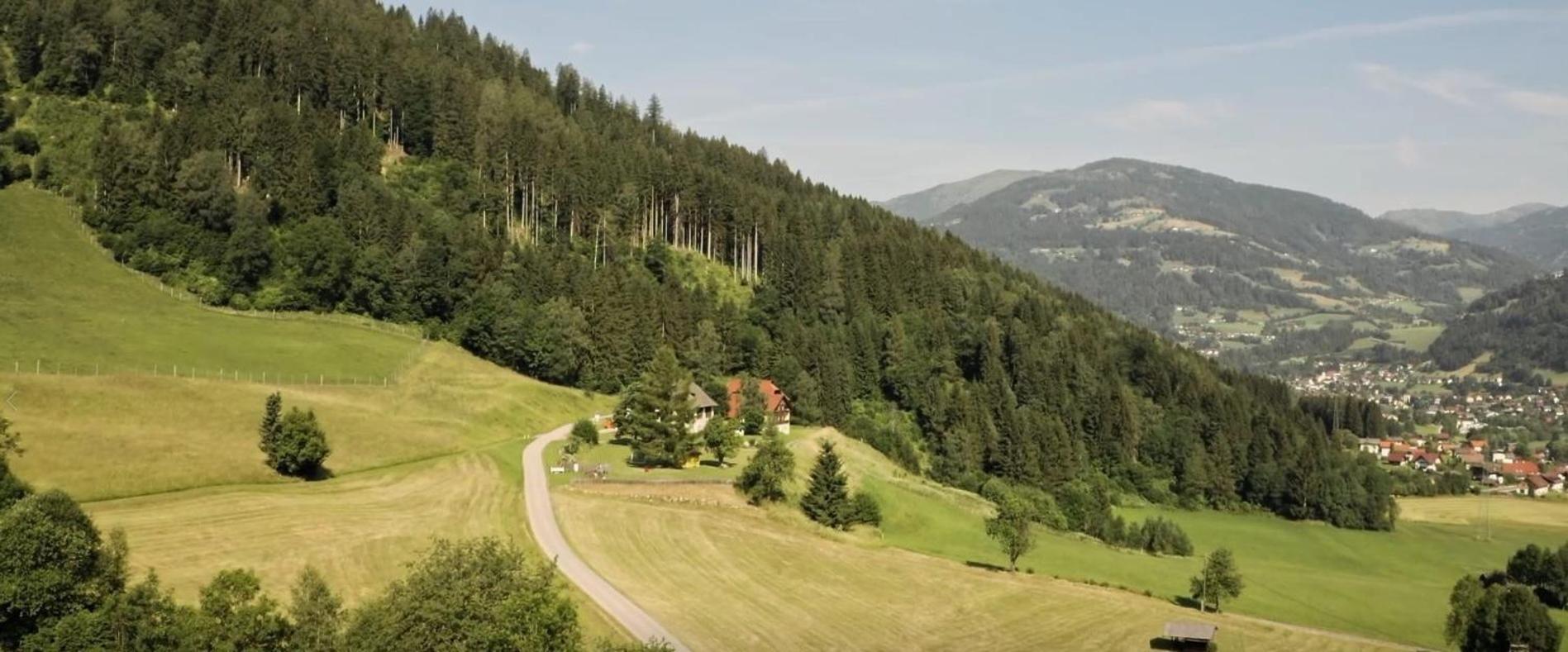 Gasthof Thurnerhof Untertweng Kültér fotó