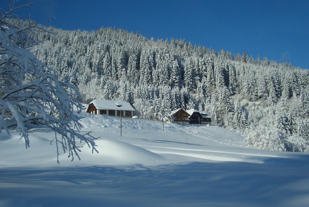 Gasthof Thurnerhof Untertweng Kültér fotó